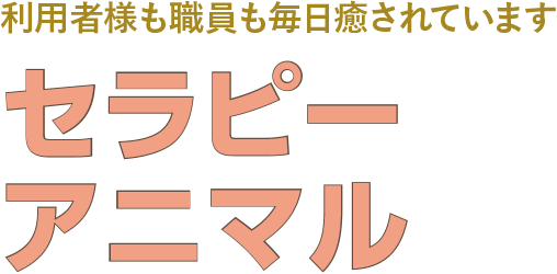 利用者様も職員も毎日癒されています セラピーアニマル