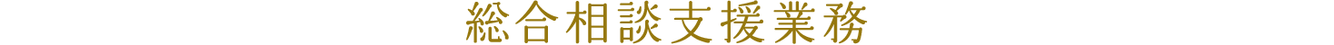 総合相談支援業務
