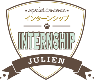 INTERNSHIP