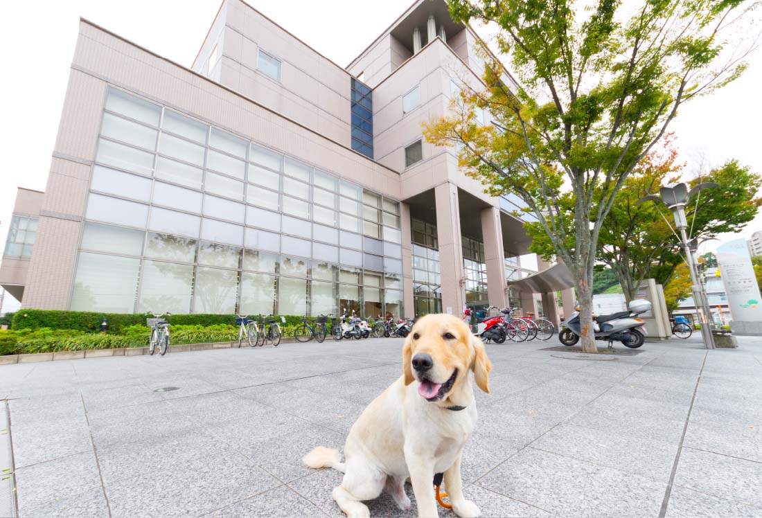 図書館、市役所、公園やショッピングセンターもあり、暮らしやすい生活環境。