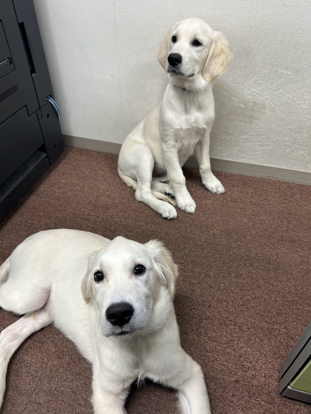 2025.12.13 風香空室情報