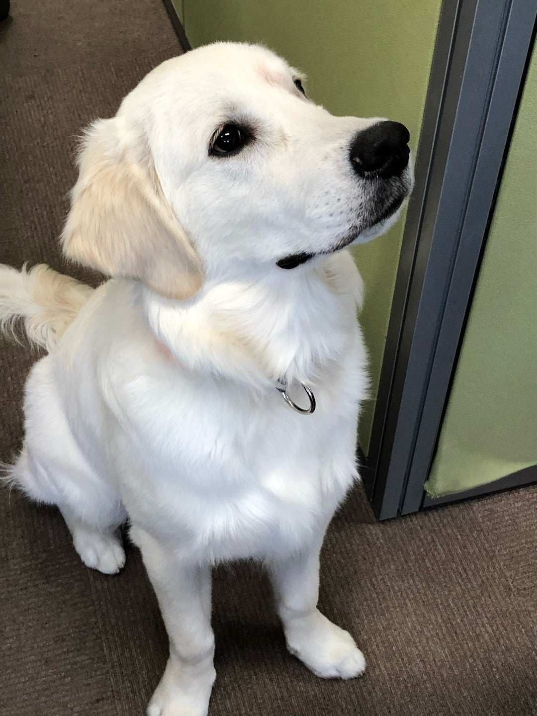 風香体験入居について