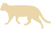 ゴールデンレトリーバー