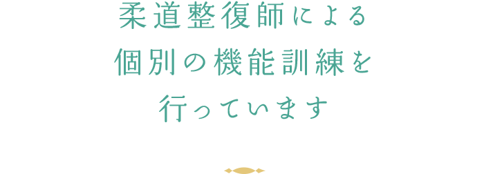 柔道整復師による個別の機能訓練を行っています