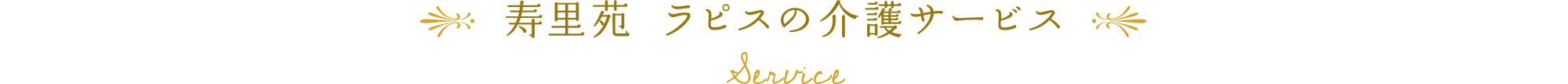 寿里苑 ラピスの介護サービス