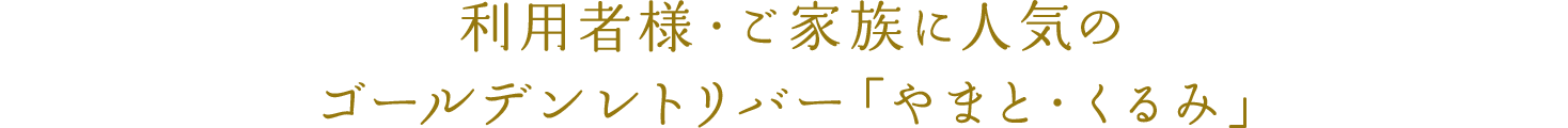 利用者様・ご家族に人気のゴールデンレトリバー「やまと・くるみ」