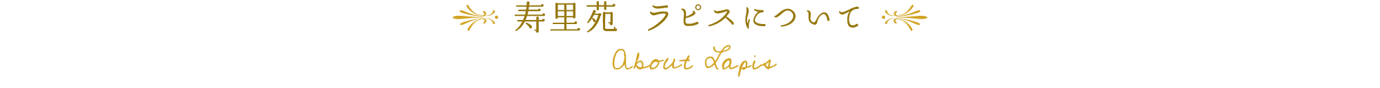 寿里苑 ラピスについて