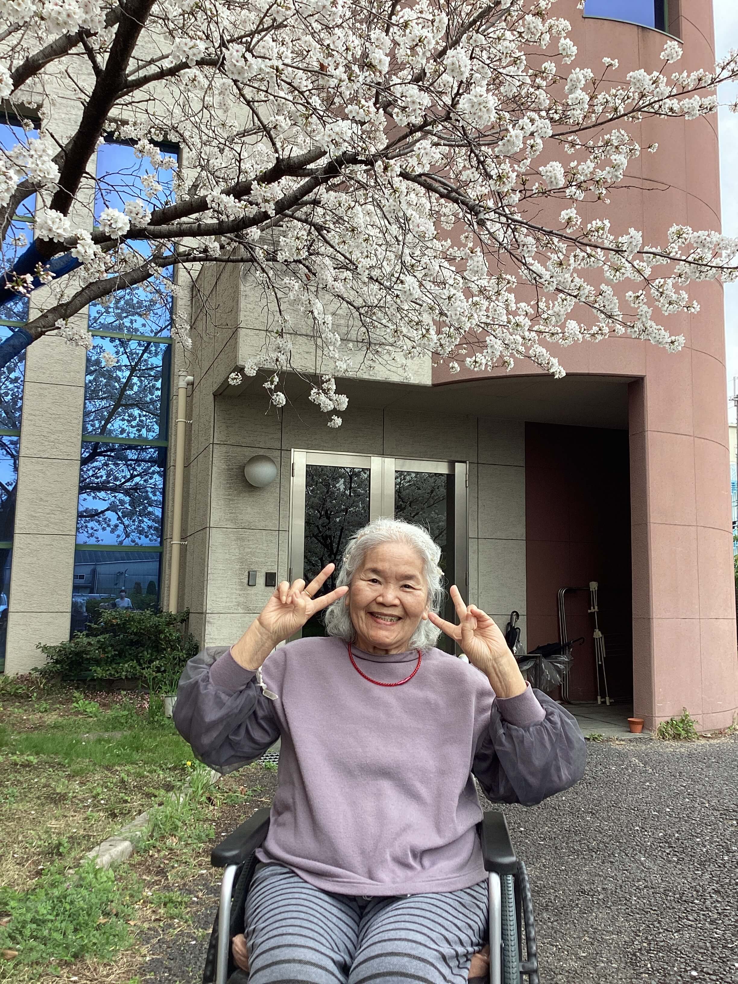 お花見