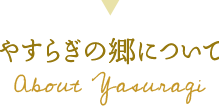 やすらぎの郷について