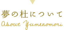 夢の杜について