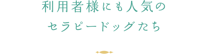 利用者様にも人気のセラピードッグたち