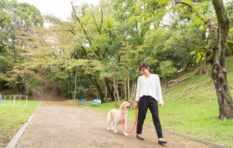 公園に面した緑の近い立地で季節を感じ、穏やかに生活できる環境