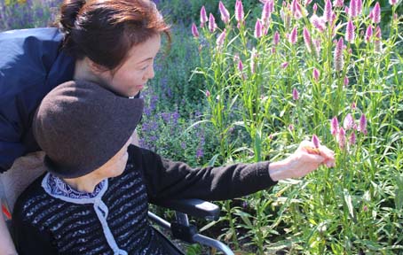 公園に面した緑の近い立地で季節を感じ、穏やかに生活できる環境